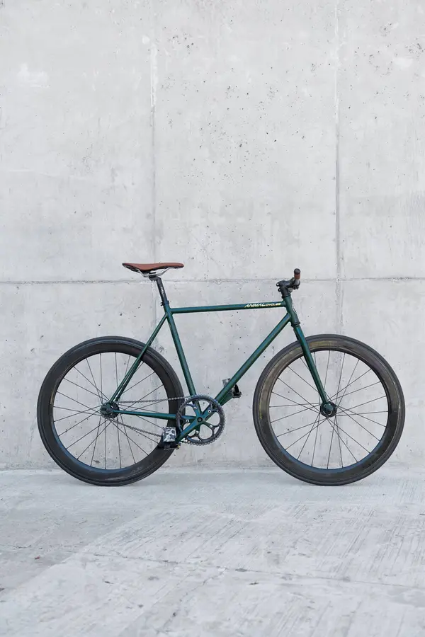 Bicicleta Animal personalizada, archivo 3