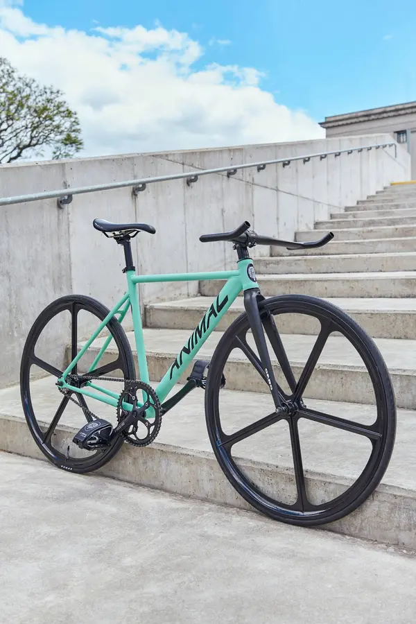 Bicicleta Animal personalizada, archivo 24