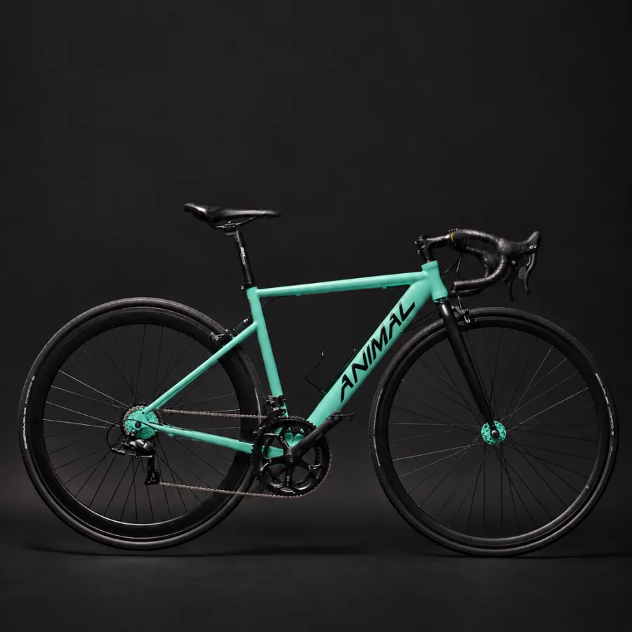 Speed Jaguar – 16V Acero personalizada por Animal Cycles