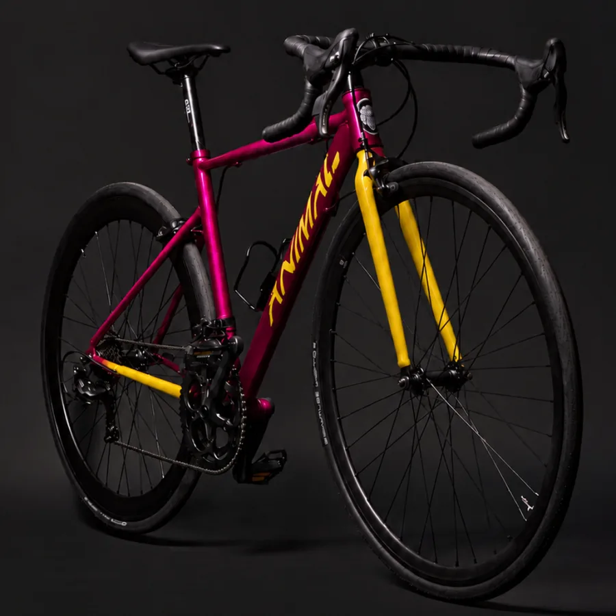 Speed Jaguar – 16V Acero personalizada por Animal Cycles